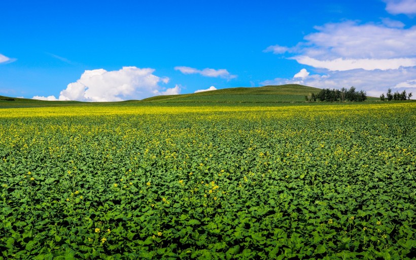 内蒙古草原风景图片(11张)