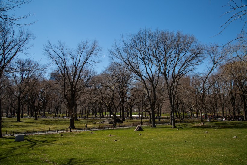 美国纽约中央公园风景图片(20张)