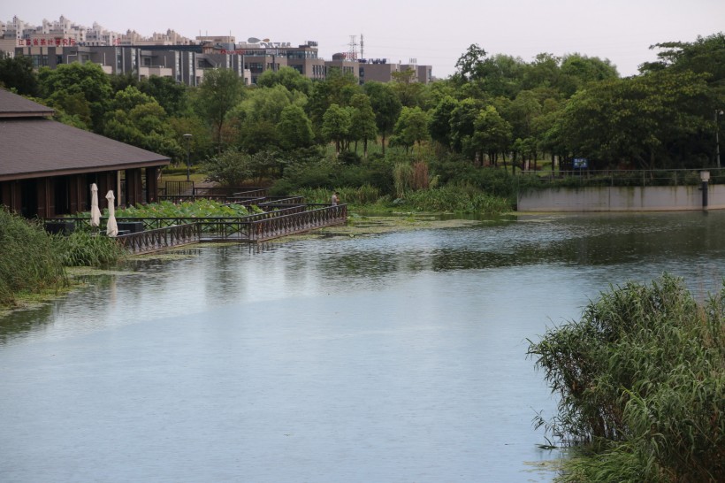 江苏无锡长广溪国家湿地公园风景图片(8张)