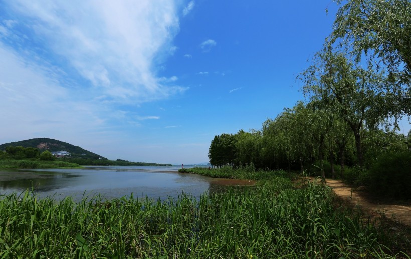 江苏无锡长广溪国家湿地公园风景图片(7张)