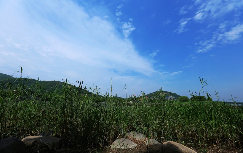 江苏无锡长广溪国家湿地公园风景图片(7张)