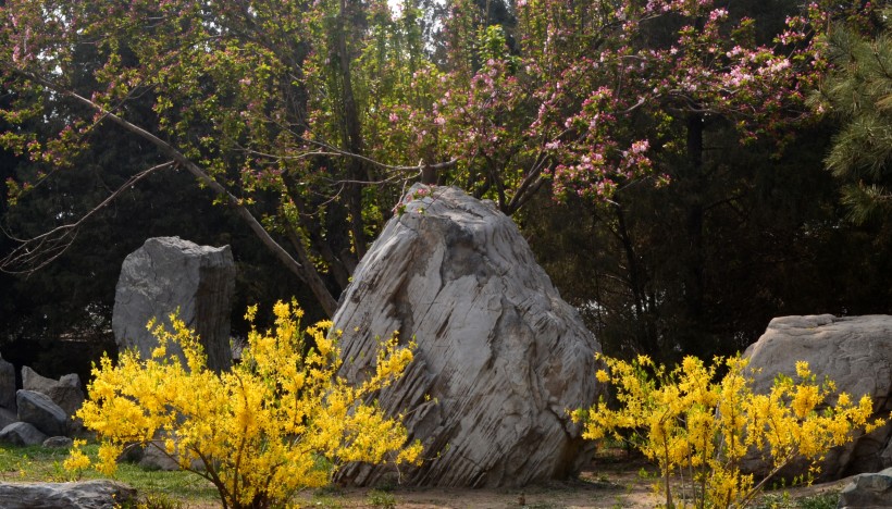 天津长虹公园风景图片(5张)