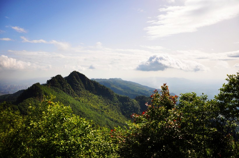 重庆永川茶山竹海风景图片(11张)