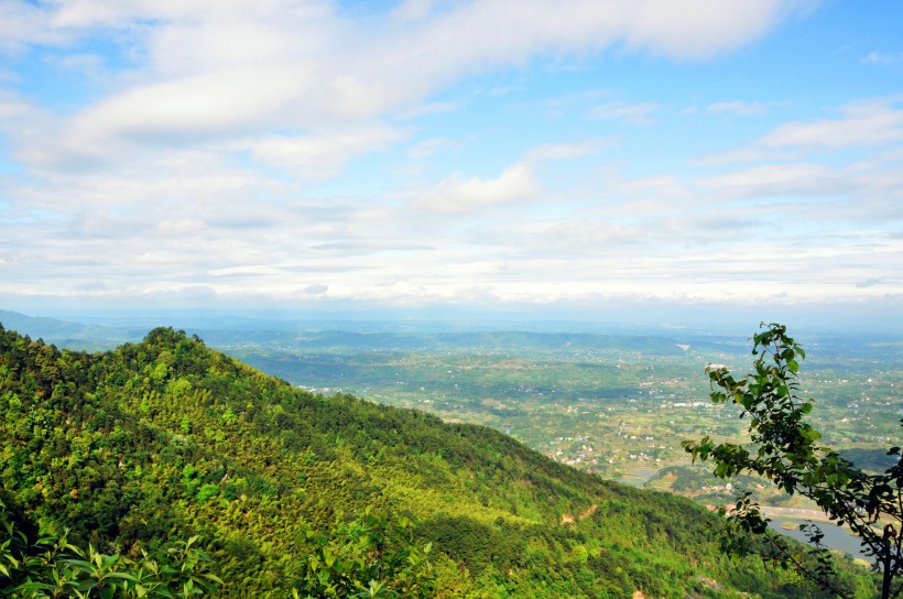 重庆永川茶山竹海风景图片(11张)