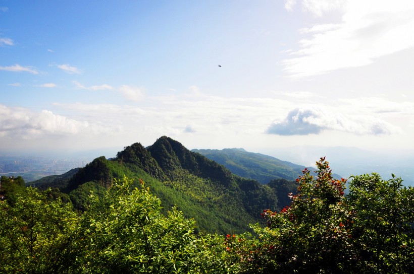 重庆永川茶山竹海风景图片(11张)