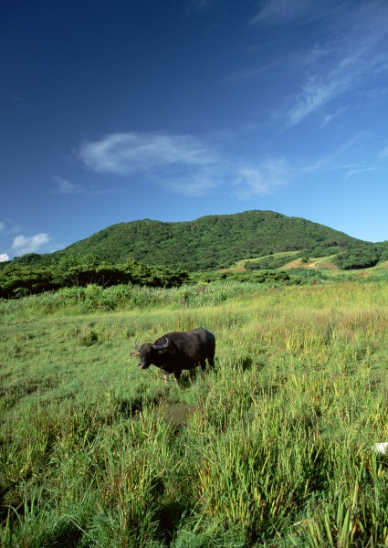 冲绳风景图片(60张)