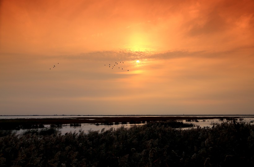 天津大港湿地公园夕阳风景图片(9张)