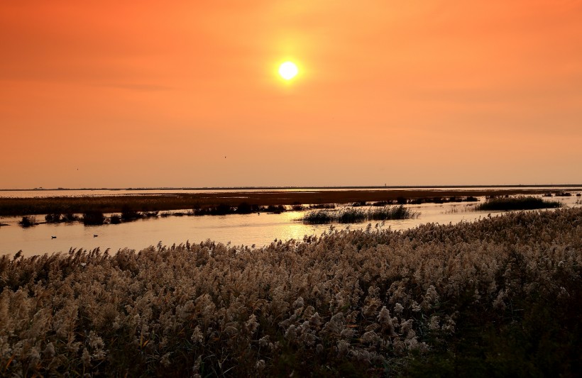 天津大港湿地公园夕阳风景图片(9张)