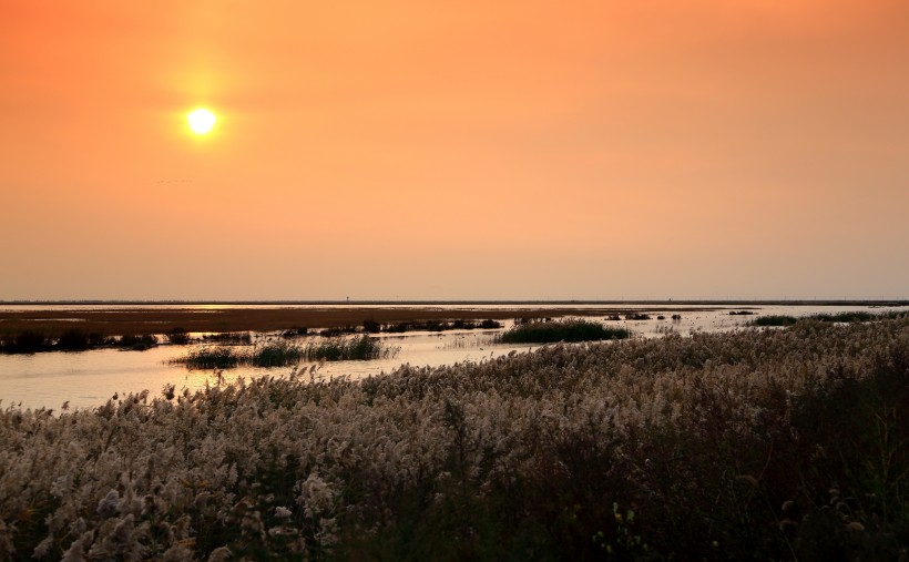 天津大港湿地公园夕阳风景图片(9张)