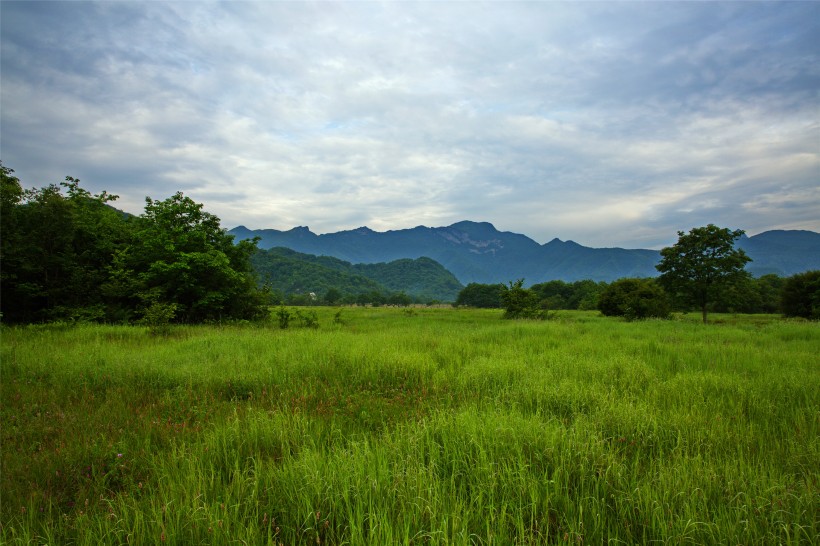 湖北神农架大九湖风景图片(28张)