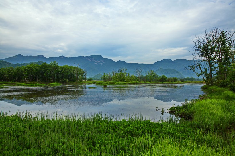 湖北神农架大九湖风景图片(28张)