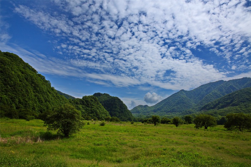 湖北神农架大九湖风景图片(28张)