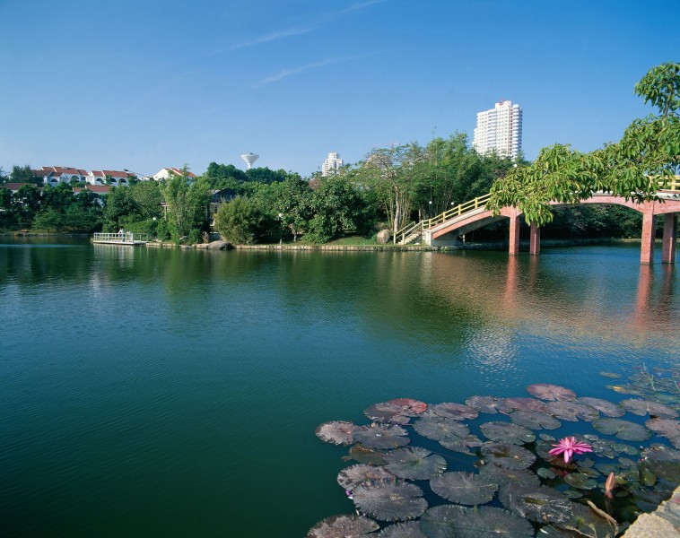 大连风景图片(45张)