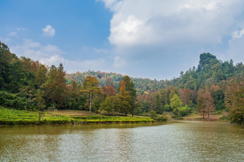 广西德保红枫森林公园风景图片(9张)