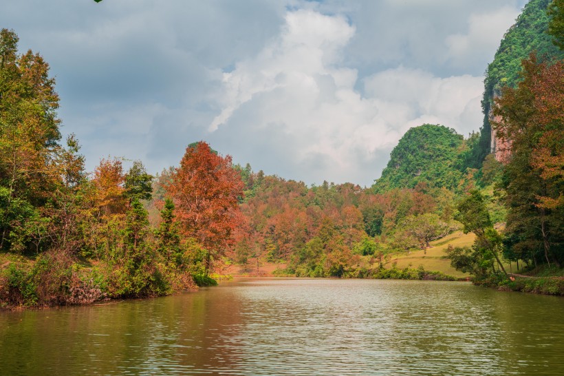 广西德保红枫森林公园风景图片(9张)