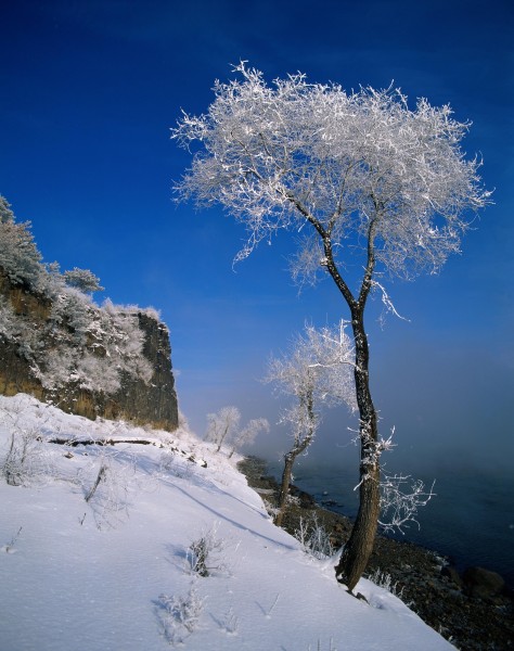 东北哈尔滨冬景图片(7张)