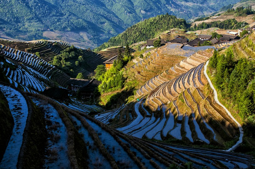 广西龙脊梯田风景图片(20张)