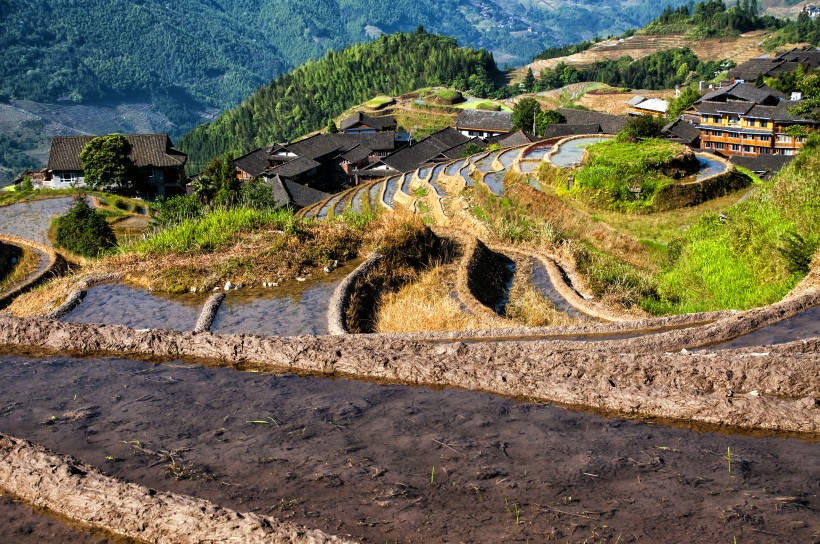 广西龙脊梯田风景图片(20张)