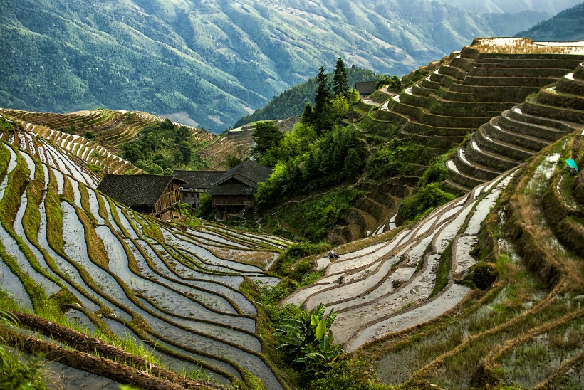 广西龙脊梯田风景图片(20张)