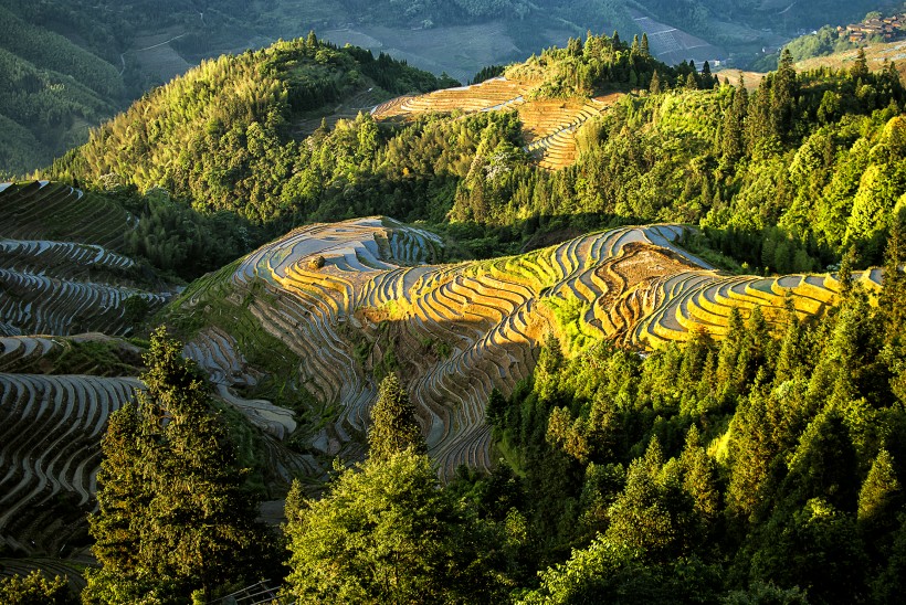 广西龙脊梯田风景图片(20张)