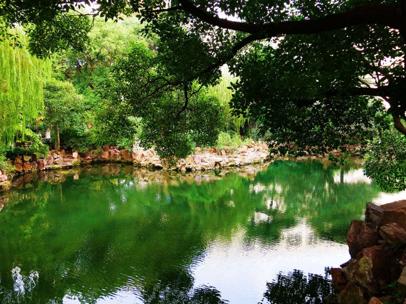 上海华东师大风景图片(9张)