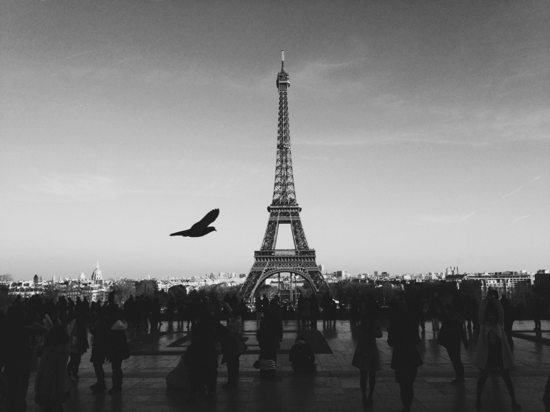 法国巴黎埃菲尔铁塔图片(10张)
