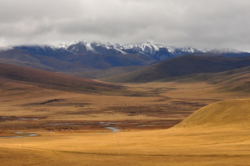 内蒙古额济纳旗风景图片(16张)