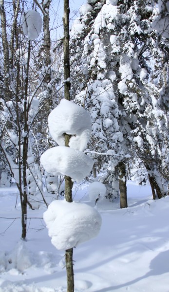 黑龙江海林二浪河雪景图片(17张)