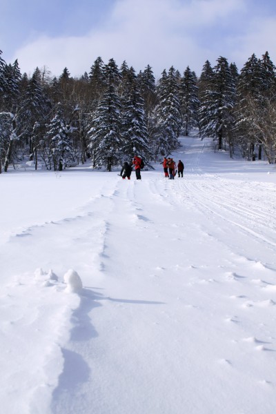 黑龙江海林二浪河雪景图片(17张)