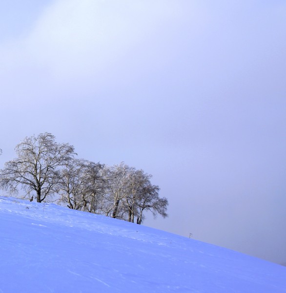 黑龙江海林二浪河雪景图片(17张)