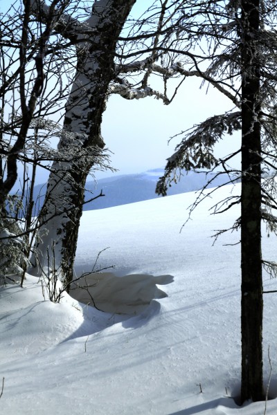 黑龙江海林二浪河雪景图片(17张)