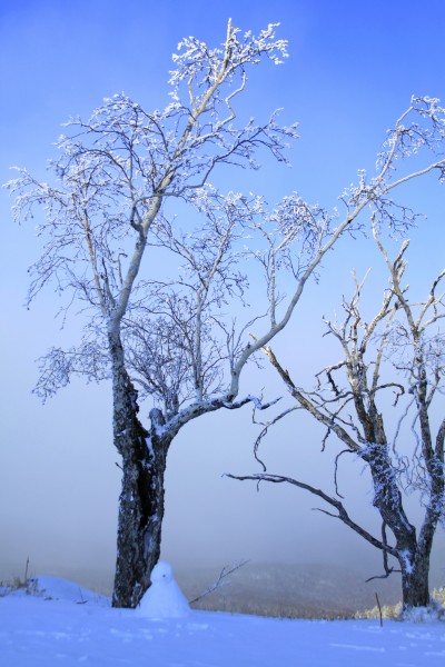 黑龙江海林二浪河雪景图片(17张)