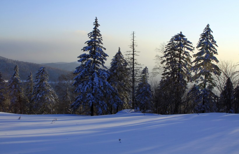 黑龙江海林二浪河雪景图片(17张)