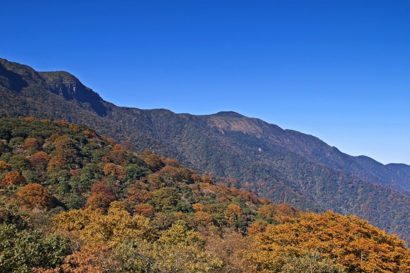 贵州梵净山风景图片(11张)