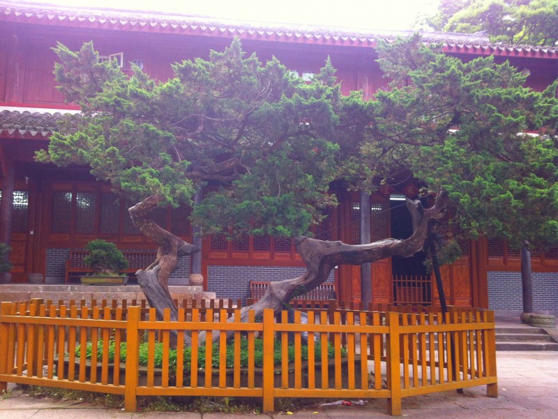 普陀山法雨寺图片(10张)