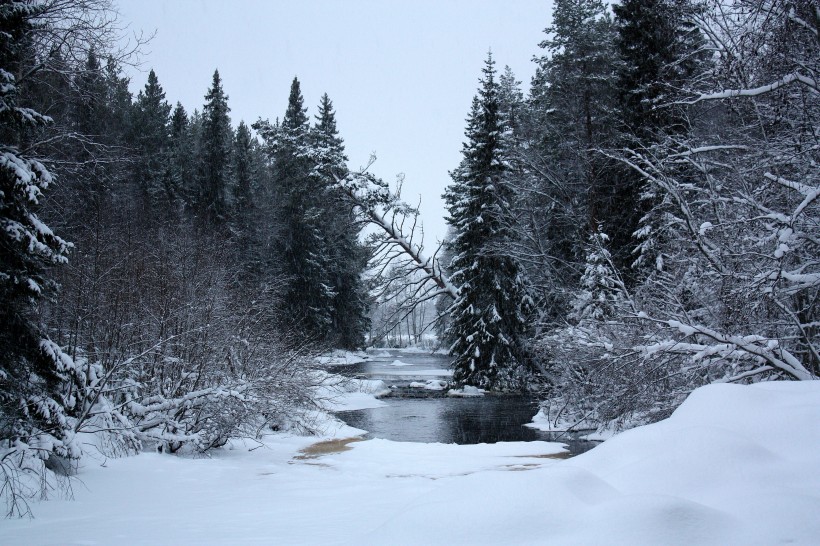 芬兰的雪图片(17张)