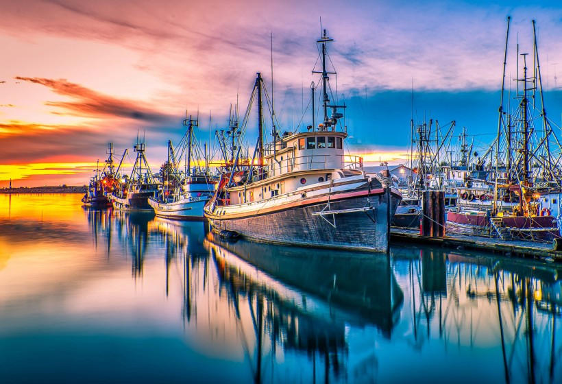 美国旧金山渔人码头风景图片(7张)