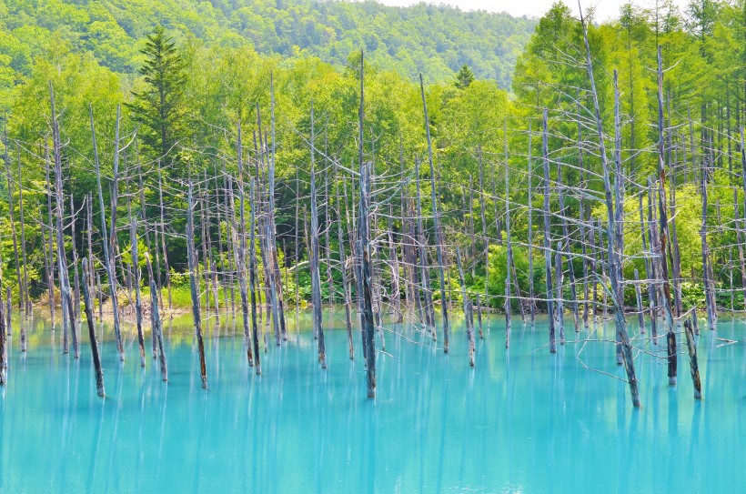 日本北海道富良野风景图片(8张)