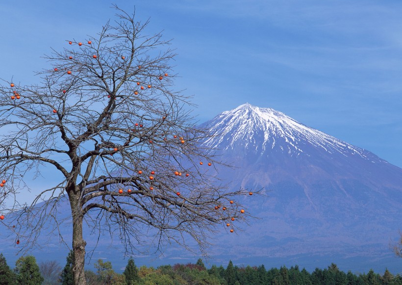 富士山图片(133张)