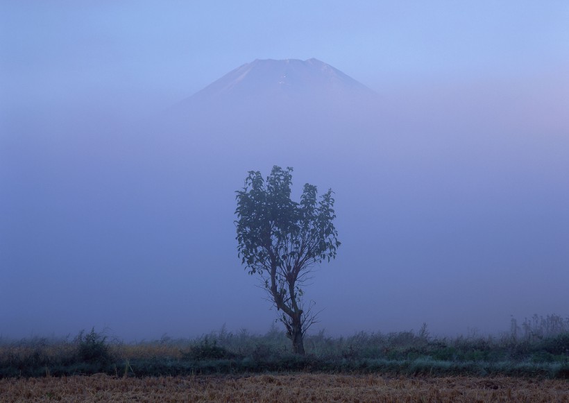 富士山图片(133张)