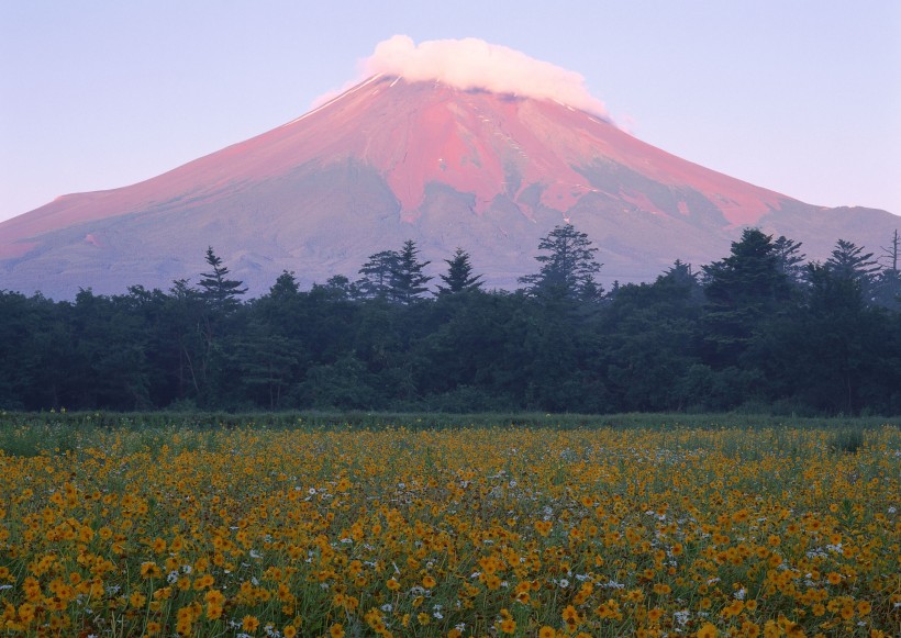 富士山图片(133张)