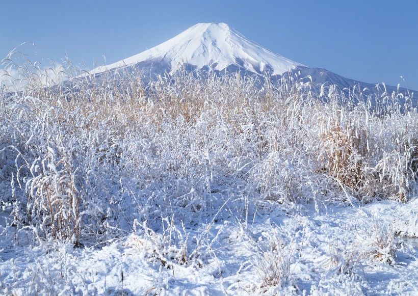 富士山图片(133张)