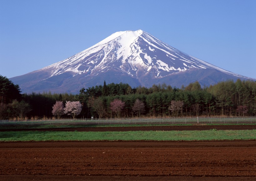 日本富士山春天风景图片(12张)