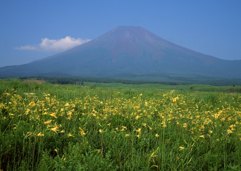 日本富士山春天风景图片(12张)