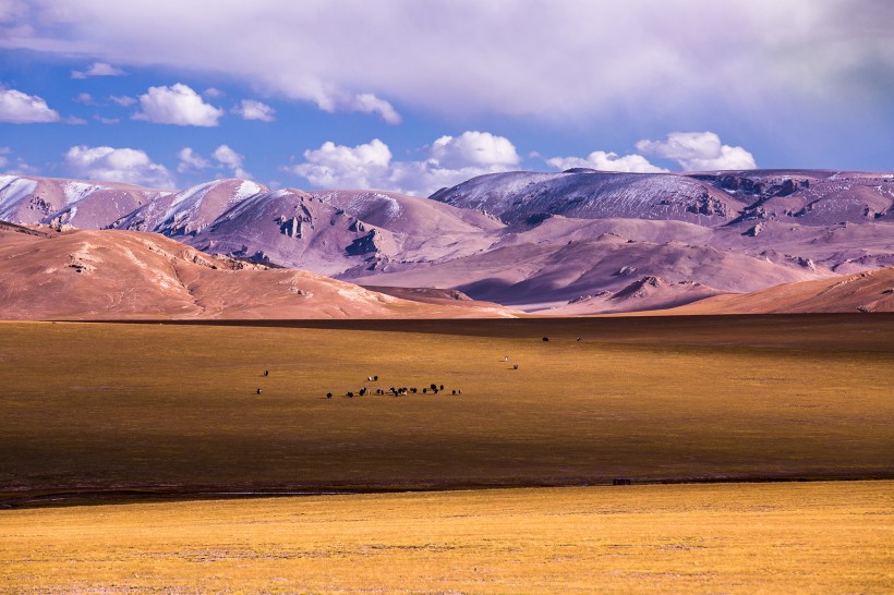 西藏阿里改则风景图片(16张)