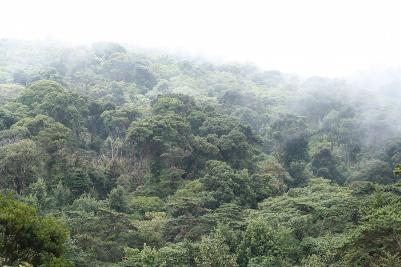美国哥斯达黎加热带雨林风景图片(11张)