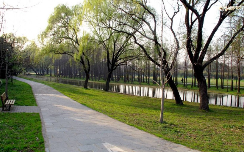 上海共青森林公园风景图片(8张)
