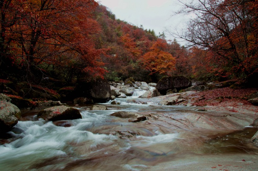 四川光雾山红叶风景图片(28张)