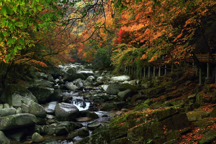 四川光雾山红叶风景图片(28张)