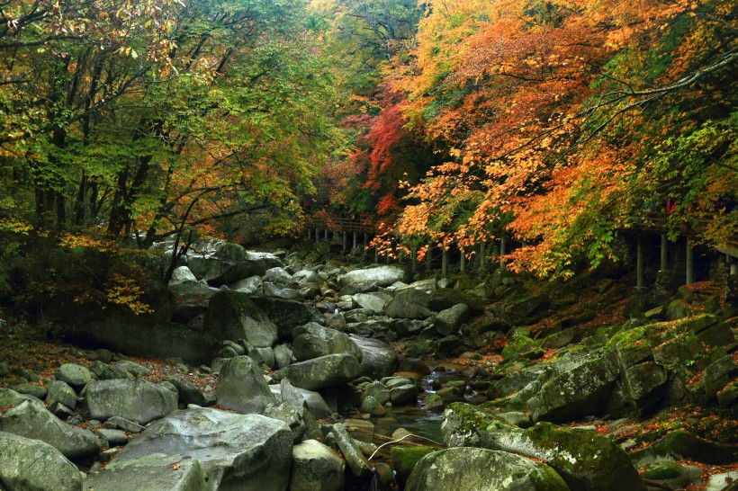 四川光雾山红叶风景图片(28张)